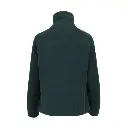 aurora vert (4).webp