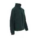 aurora vert (2).webp