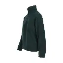 aurora vert (3).webp